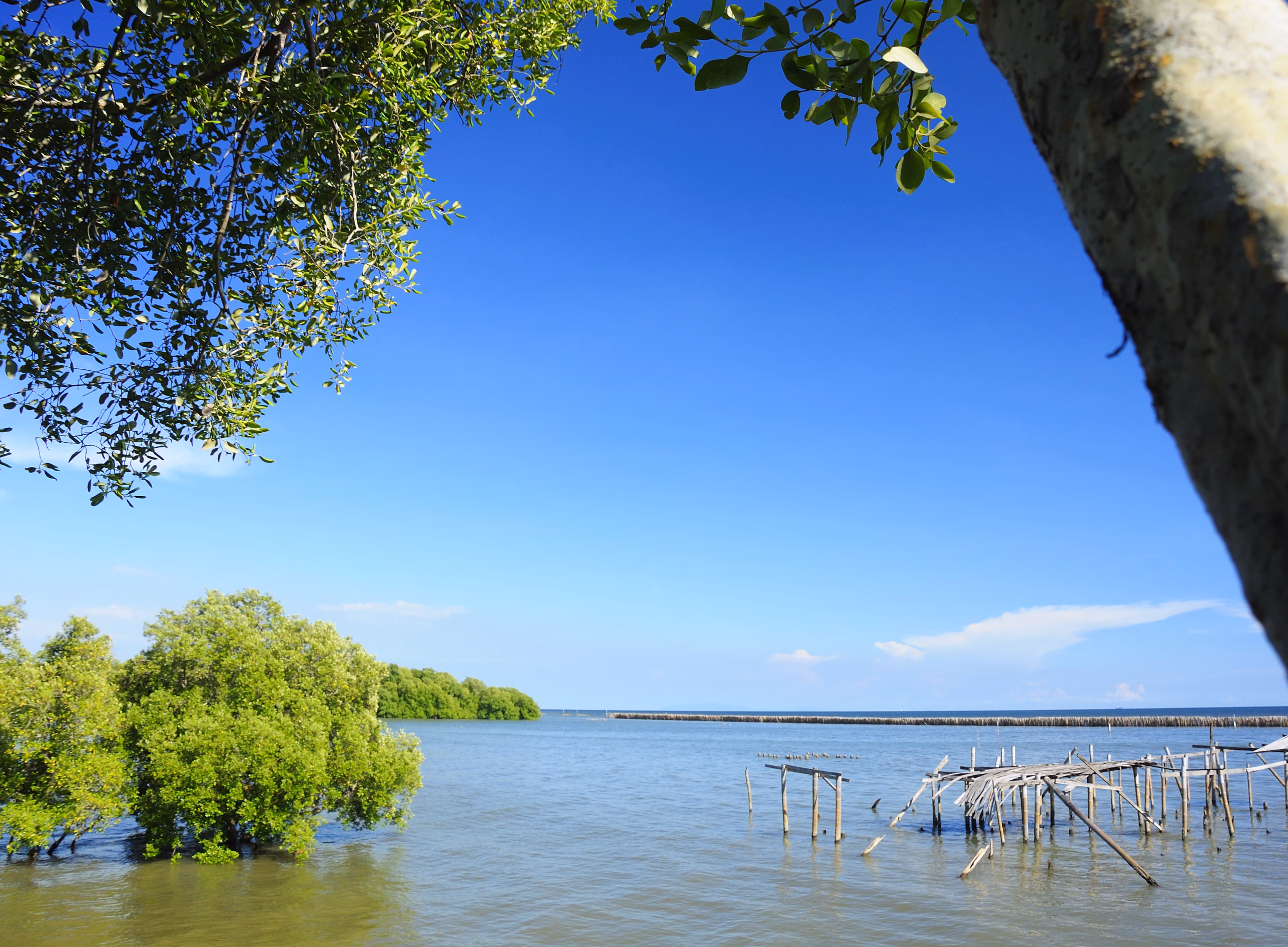 Best Time to visit Thailand 1 Best Time to visit Thailand